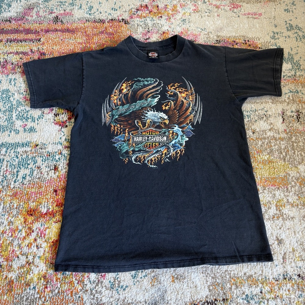 Vintage Y2K Harley-Davidson Biker T-Shirt Eagle Clinton IA Large
